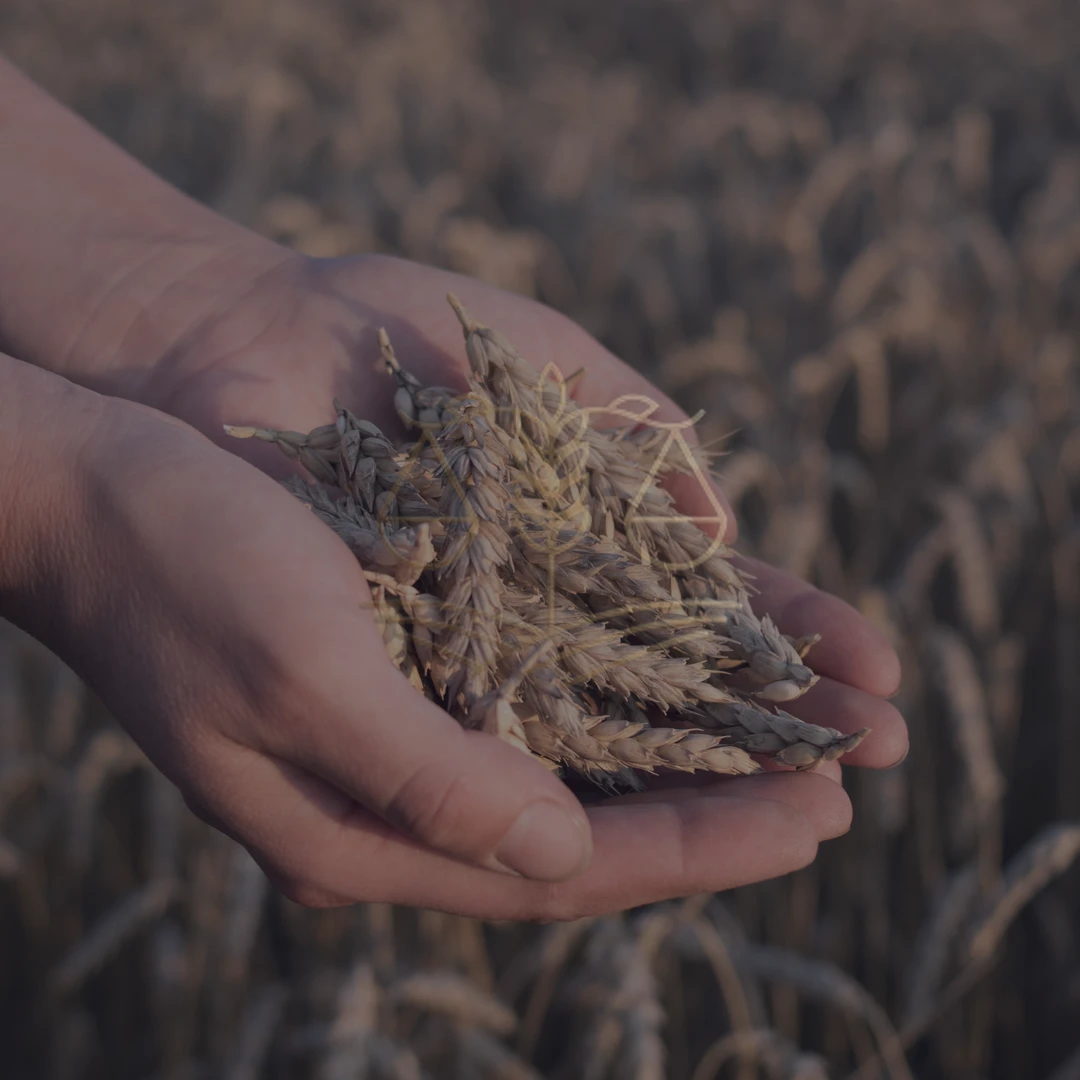 Documentos, contrato e caneta sobre mesa representando notificação ambiental e contrato bancário rural