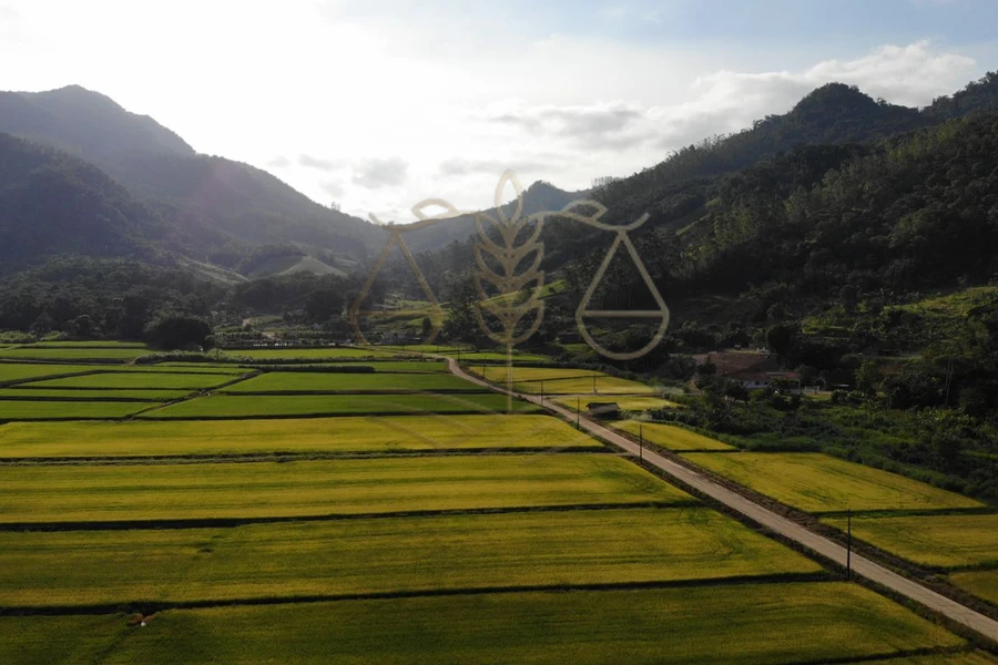 Área de vegetação preservada em propriedade rural