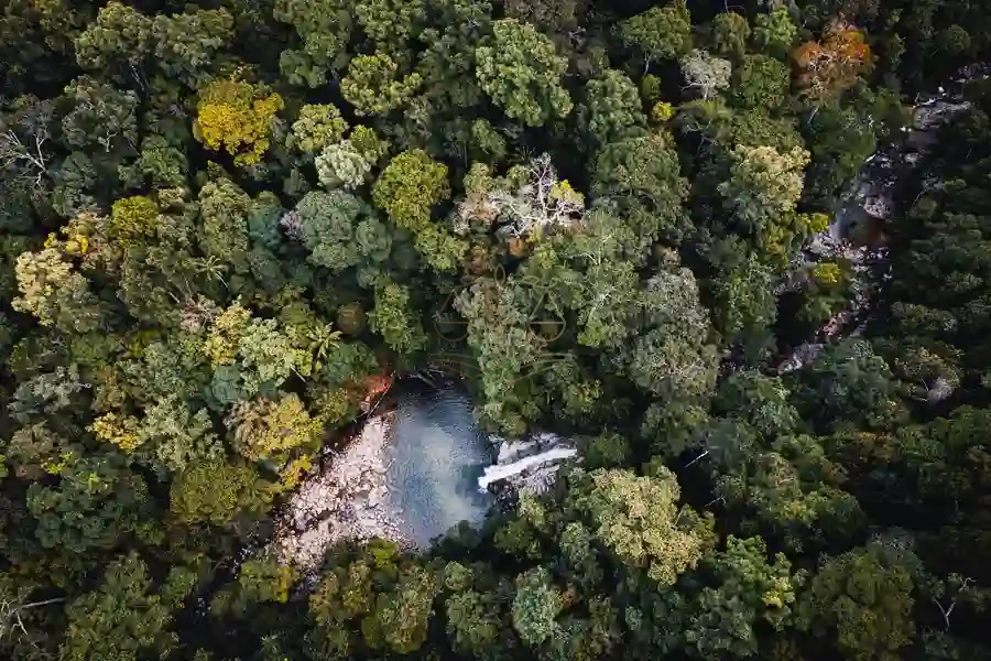 Dra. Ana Paula Conrado ao telefone analisando um caso ambiental