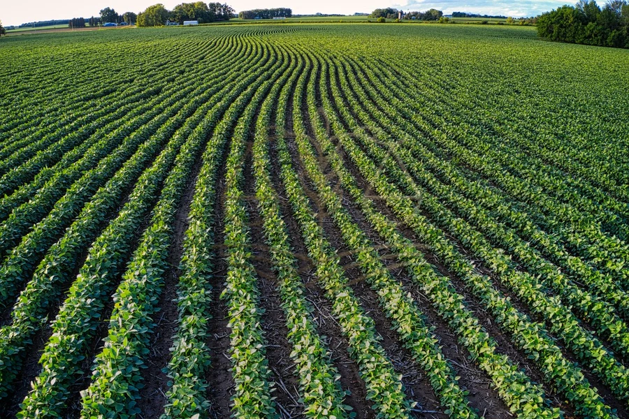 Vista aérea de propriedade rural em Mato Grosso