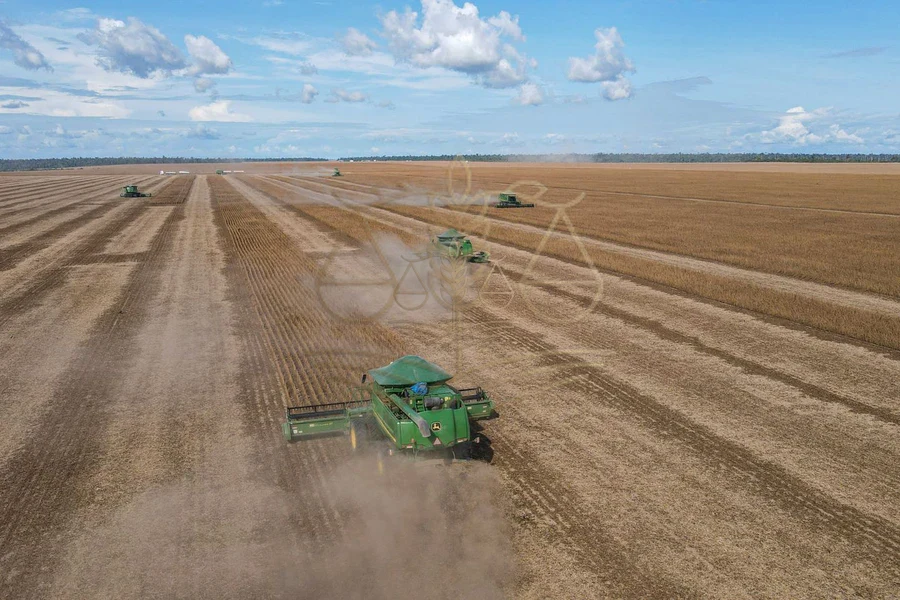 Colheita de soja em grande propriedade rural, safra que serve de critério para a MP 1.376/2026