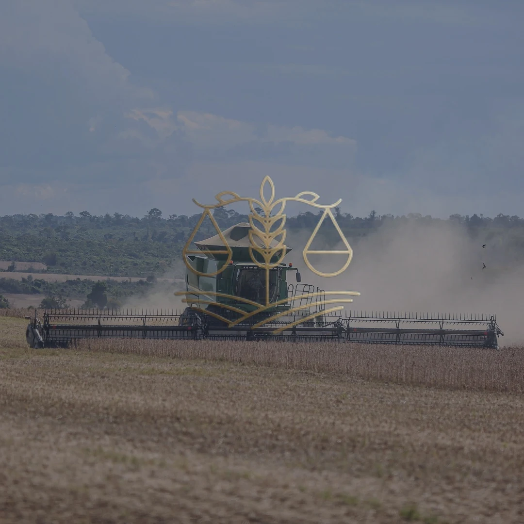 Produtor rural analisando documentos financeiros em mesa de escritório rural